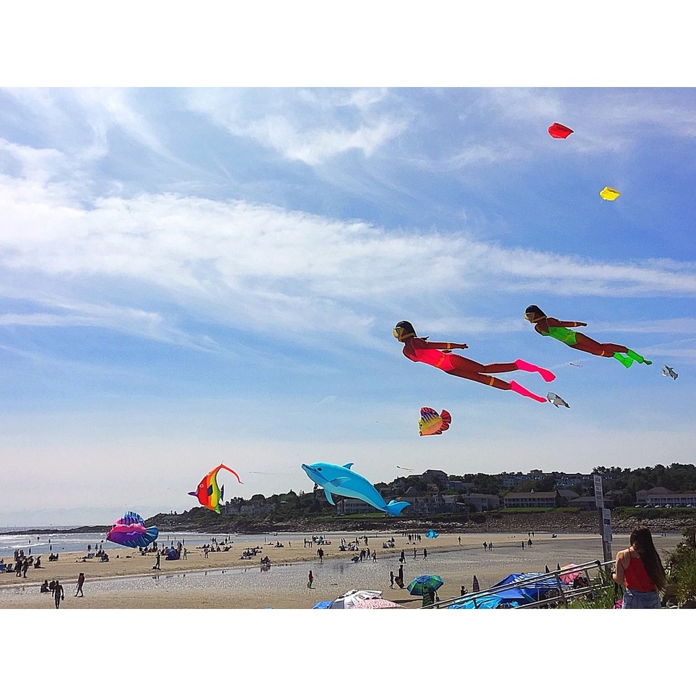 Meet your Posher, Ariel